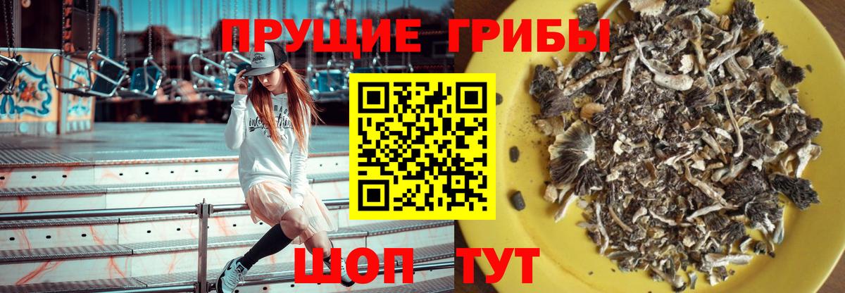Псилоцибиновые грибы GOLDEN TEACHER Новочеркасск