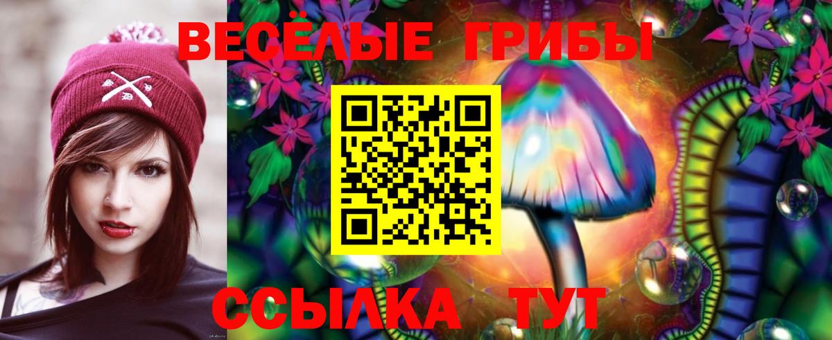 Галлюциногенные грибы Magic Shrooms  Вход с VPN  Новочеркасск  Галлюциногенные грибы Psilocybine cubensis 